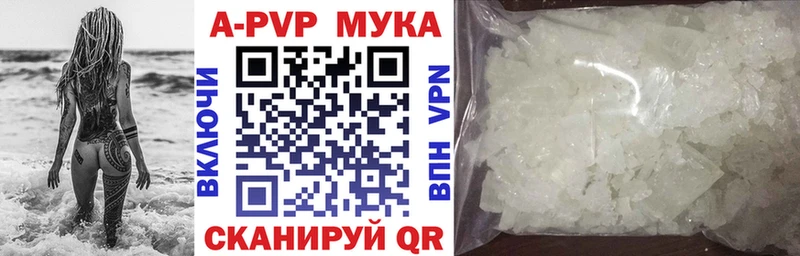 Alfa_PVP СК КРИС  где найти   Короча 