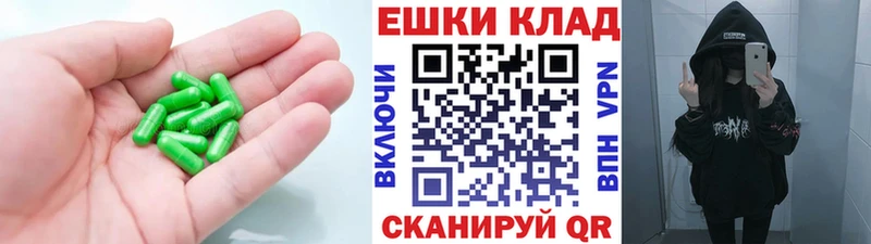 Ecstasy бентли  Короча 