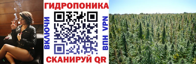 наркота  Короча  Каннабис VHQ 